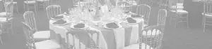 Alquiler de sillas Party Rent: elgancia y clasicismo